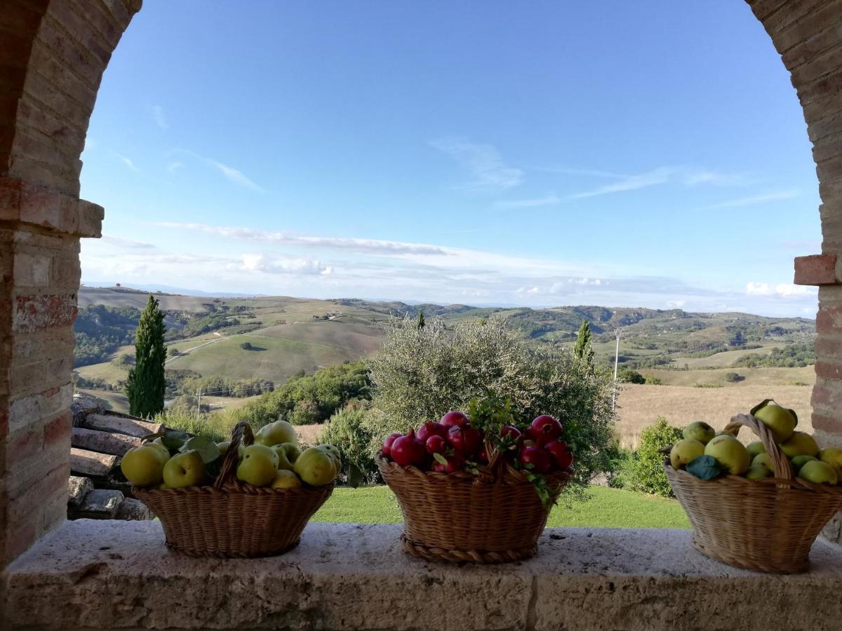 Agriturismo Monsole - Montalcino Apartment Exterior photo